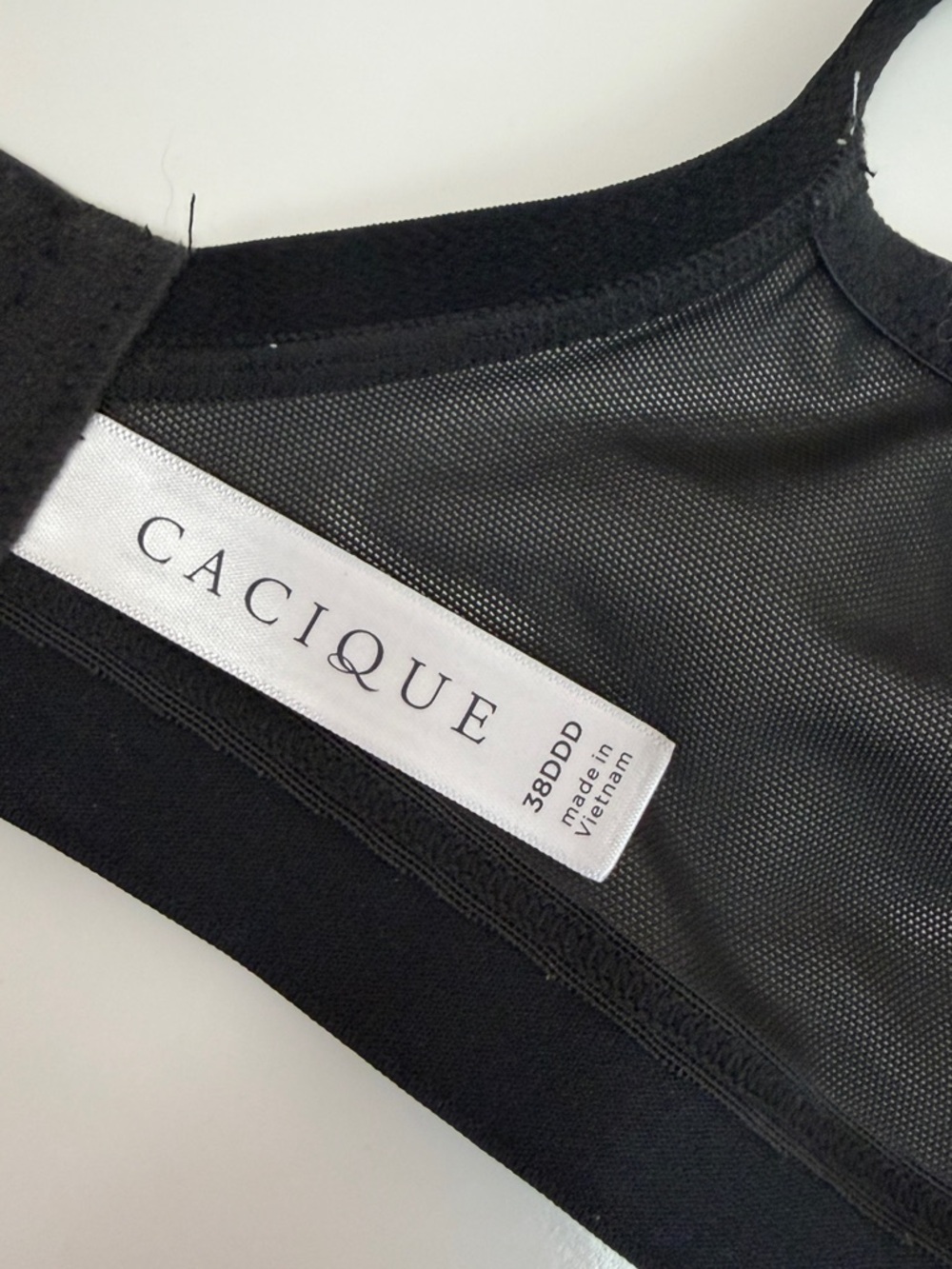 Cacique Embroidered No-Wire Triangle Bra Set - Picture 11 of 14
